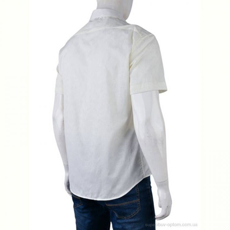 Рубашка Obuvok PO-538 (12527) beige