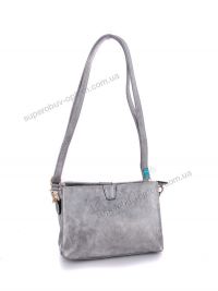 Сумка E&Y AY623 silver