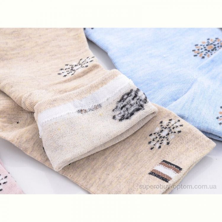 Носки Thanh AD005 mix