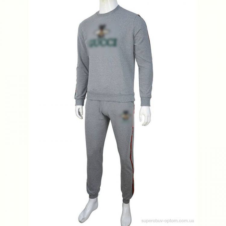 Спортивный костюм Obuvok 02934 l.grey